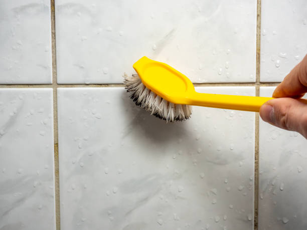 Best Best Mold Removal Companies  in Arvin, CA